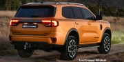 FORD EVEREST 3.0D V6 PLATINUM AWD A/T - 45 thumb