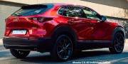 MAZDA CX-30 2.0 INDIVIDUAL A/T - 17 thumb