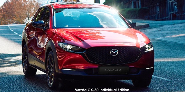 MAZDA CX-30 2.0 INDIVIDUAL A/T - 14 