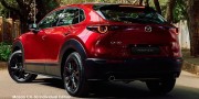 MAZDA CX-30 2.0 INDIVIDUAL A/T - 13 thumb